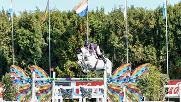 Guy Williams concludes Sunshine Tour with CSI4* Invitational Grand Prix win