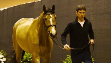 Horses declared 