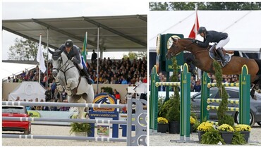 Baby luck at Haras des Coudrettes as Silvana and Carinjo become parents