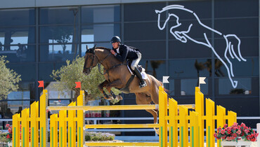 Two Irish and one Dutch win in the CSIYH1* young horse finals at Spring MET 3