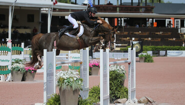 Daniel Coyle sweeps final day of competition at the 2017 Winter Equestrian Festival