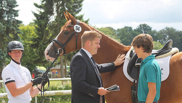 How to find my horse in Verden?
