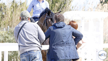 Mental Equipment: Managing pressure in showjumping