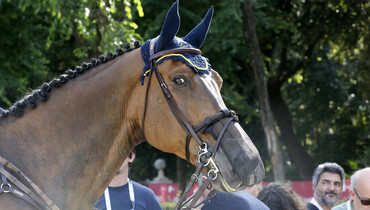 Close-Up: Ensor de Litrange