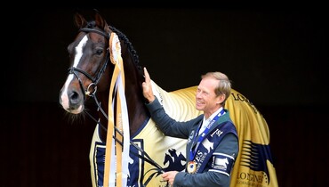 Farewell Casall Ask – the sire leaves, his offspring come