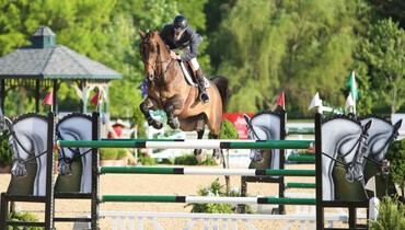 Eric Navet and Catypso conquer the Hollow Creek Farm CSI3* Grand Prix