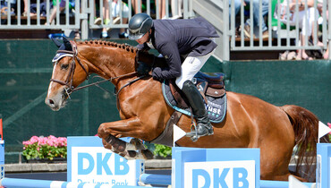Postcard from CSI3* Nörten-Hardenberg
