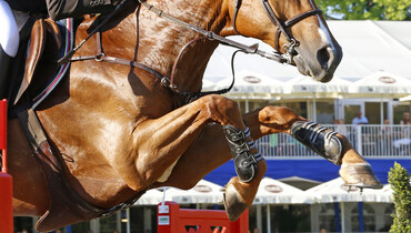 Gerfried Puck on top of the Herneacova 3* Grand Prix
