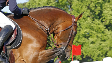 The Competition College of the BCA imposes penalty payments on the FEI, the SPRL Global Champions League and the SPRL Tops Trading Belgium