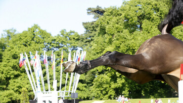 Blood and boots rules on FEI Jumping Committee's list of proposed changes