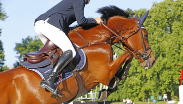 Working Group agrees on key recommendations on Jumping Invitation Rules and event requirements