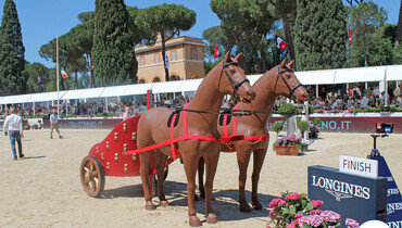 Postcard from Piazza di Siena