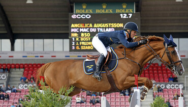 An incredible career comes to an end for Mic Mac du Tillard
