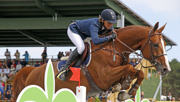 Quebracho Semilly to Axel Verlooy