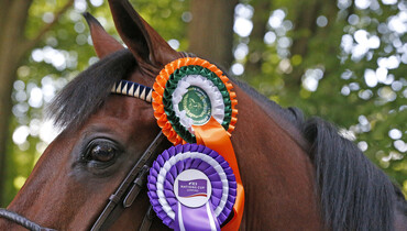 CHIO Rotterdam cancelled, the Longines FEI Nations Cup Europe Division 1 down to five legs