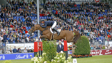 Guy William's Titus out with strained tendon