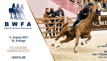 Do you want to own a top show jumper?