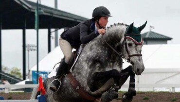 Equine 74 Gastric with Dana Kurrle: Horses with all kind of stomach problems can benefit from Equine 74 Gastric