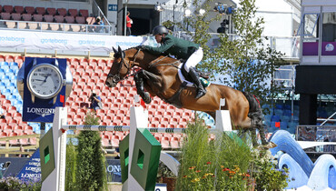 From youngster to international Grand Prix horse: Chaqui Z