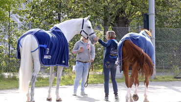 Behind the scenes at the European Championships | Part two