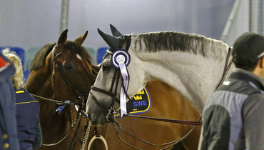 Celebrating Sweden's silver medal!