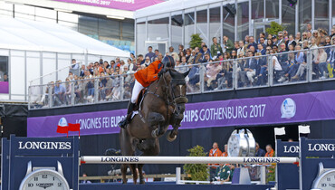 From youngster to international Grand Prix horse: Don VHP Z