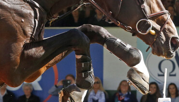 Close-up at Spruce Meadows 'Masters'