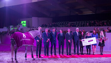 Record-breaking edition of Dutch Sport Horse Sales