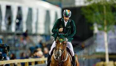 All Star – From the Verden auction arena into the international limelight