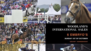 Woodland's International Sales - Are you ready for tomorrow's auction?