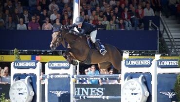 Halland van de Mispelaere to Stephex Stables