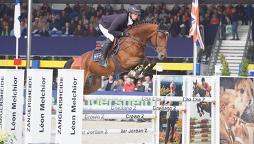 Don’t look any further! Successful in international show jumping with Holsteiner auction horses