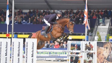 Don’t look any further! Successful in international show jumping with Holsteiner auction horses