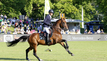 Julien Epaillard – on going fast, going slow and listening to his horses