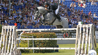 From youngster to international Grand Prix horse: Carlo 273