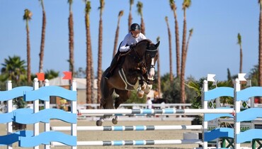 Holsteiner Genetics - the key to success
