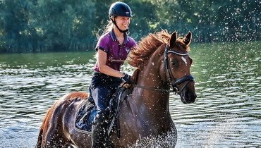 Futurity prospects directly from the breeder – Where do auction horses come from?