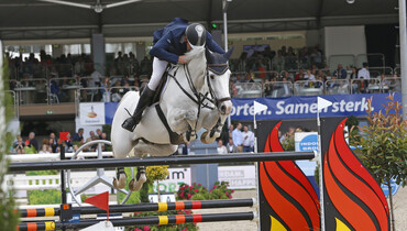 Albert Zoer sells his top horse Gigolo