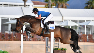 Billy Dorito to Darragh Kenny and Vlock Show Stables