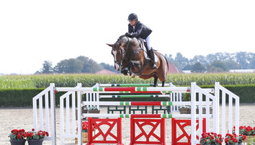 Holger Hetzel presents; Herzbube (Lord Pezi x Argentinus)