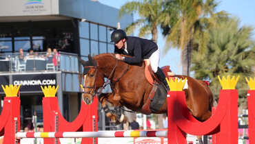 Brits are best again as Daniel Neilson concludes Autumn MET 2017 with Grand Prix victory