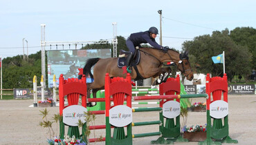 Townhead Stud’s Pembroke 3 to Alexandra Paillot