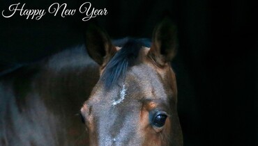 Happy New Year!