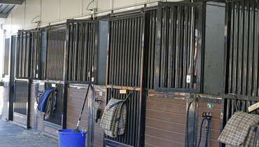 Ahead of the WEG 2018: Stabling, flights and quarantine