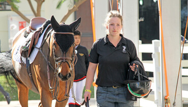 Images | Al Shira'aa International Horse Show - part one