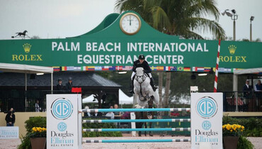 Olympic gold medalist McLain Ward kicks off 2018 Winter Equestrian Festival with a win