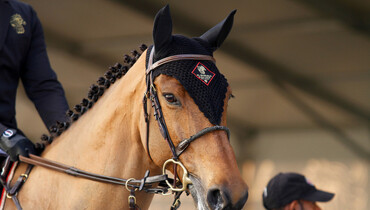 Images | Al Shira'aa International Horse Show - part three