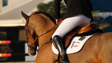 The horses, riders and teams for CSIO5* Abu Dhabi