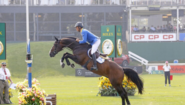 Thank you Taloubet Z!