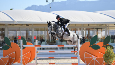 Young Horse Finals presented by Absolute Horses kick-start the second week of Spring MET 2018